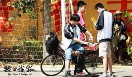 我心雀跃在线观看,揭秘我心雀跃在线观看的精彩瞬间