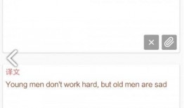 娱乐吃瓜酱英语翻译怎么写,From 'Entertainment Gossipy Sauce' to English: Crafting a Captivating Article Subtitle